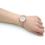 Emporio Armani Watch For Women AR11244
