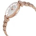 Emporio Armani Watch For Women AR11244