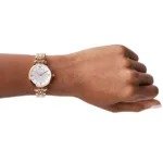 Emporio Armani Watch For Women AR11244